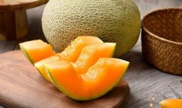 吃哈密瓜好困口腔,揭秘吃哈密瓜后为何容易困倦的口腔奥秘