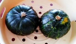 吃贝贝瓜的好处,夏日消暑、营养丰富的健康之选