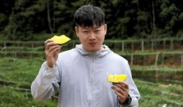 刘也吃瓜群众,吃瓜群众眼中的娱乐圈风云人物