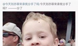吃瓜群众weibo,揭秘娱乐圈幕后故事，带你走进明星真实生活