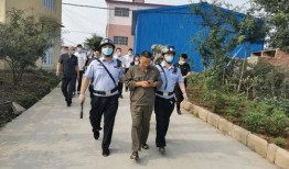 枣庄中院吃瓜事件,一场网络舆论的风波与反思