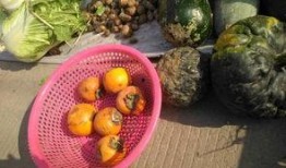 大妈吃瓜叫什么