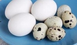 吃鹌鹑蛋还能吃哈密瓜吗