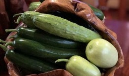 网红吃瓜扬中,揭秘网络红人背后的故事