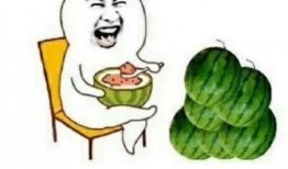 快乐吃瓜号,快乐吃瓜号带你畅游八卦盛宴