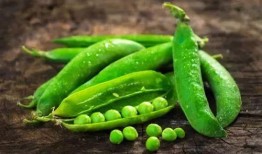 梦到吃瓜吃豆,瓜豆盛宴，揭秘潜意识中的美食诱惑