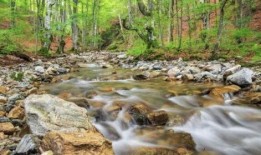 小溪地咖啡吃瓜,吃瓜群众的欢乐聚集地