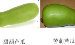 淄博范冉冉吃瓜,揭秘网络舆论背后的真相