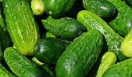 梦到吃瓜根,揭秘吃瓜根的神秘寓意