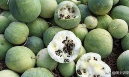 鹤轩嗑瓜子吃瓜,揭秘娱乐圈的甜蜜与苦涩