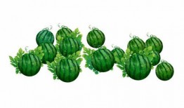 阿桥吃瓜,揭秘娱乐圈背后的那些事儿