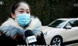 吃瓜大汽车,揭秘汽车界的“瓜田”趣事