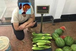 小偷当群众吃瓜,一场意外的身份转变