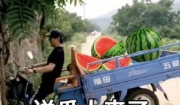 日程吃瓜,跟随日程品尝时令瓜果盛宴