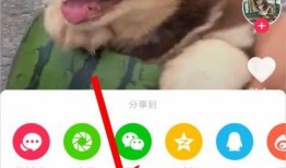 吃瓜啦抖音歌,揭秘背后故事与创作灵感