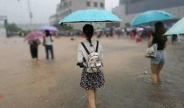 广州暴雨吃瓜视频