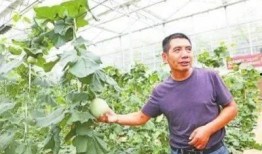 泰华吃瓜现场,揭秘娱乐圈幕后风云