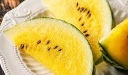 吧台吃瓜,揭秘酒吧文化中的闲聊与娱乐