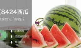 吃瓜的稿子,吃瓜群众视角下的明星幕后故事