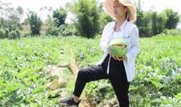 农村辛苦吃瓜视频,揭示农村生活的酸甜苦辣