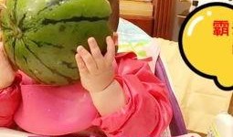 吃瓜玩具的视频,趣味互动，寓教于乐新体验