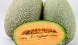 吃竹笋再吃哈密瓜,味蕾的双重盛宴