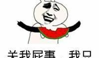 糯米吃瓜表情,解锁夏日欢乐新姿势