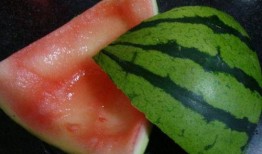 吃鸡蛋可以吃茄瓜吗,营养互补的健康食谱探索