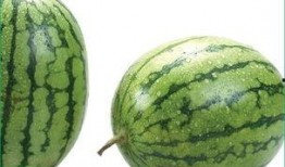 吃瓢瓜过敏怎办,紧急处理与预防措施指南