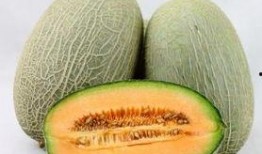 吃头孢可以吃哈密瓜吗,食用禁忌解析