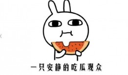 吃瓜就只吃瓜什么意思,只品瓜香，不涉世事纷扰