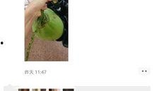 带你吃瓜捕鱼视频下载