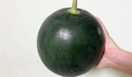 吃自己的大瓜,吃瓜群众如何品尝自己的大瓜