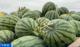 大齐吃瓜,揭秘娱乐圈幕后故事