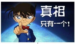 乙游吃瓜罗伯特,揭秘虚拟世界中的真实人生百态