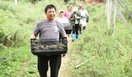 新晋吃瓜群众,揭秘娱乐圈幕后风云