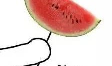 吃瓜好香的图片,揭秘“吃瓜好香”的奇妙世界