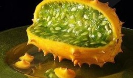 咳嗽吃角瓜行吗,角瓜助您缓解不适