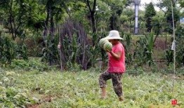 枣庄中院吃瓜事件,一场网络舆论的风波与反思