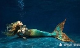 美人鱼带你吃瓜,揭秘娱乐圈那些事儿