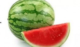 吃瓜不切大号,网络热词背后的趣味与思考