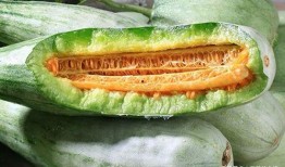 瓜吃皮吃瓤甜瓜,探索甜瓜的多重口感魅力