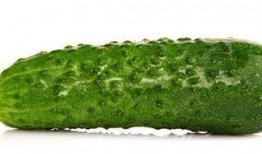 晚上吃瓜真的,揭秘夜宵中的健康与美味