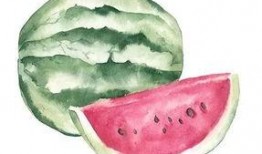 吃瓜者闲聊,揭秘娱乐圈幕后故事