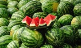 重金吃河北铺瓜,河北铺瓜盛宴，一场味蕾与财富的碰撞