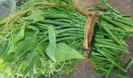 佛手瓜蘸碟吃,创意蘸碟，开启味蕾新体验