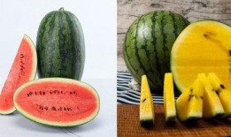 近期吃瓜大全密码