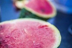 优秀吃瓜人,探寻优秀吃瓜者的智慧人生