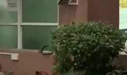 滨江最新吃瓜新闻,揭秘网红餐厅神秘事件背后的真相