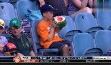 看台吃瓜视频在线观看,直播带你领略精彩瞬间